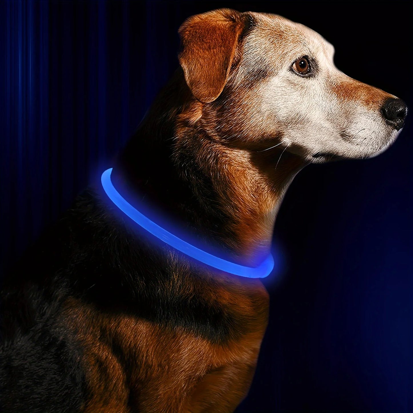 GlowGuard LED Veiligheidshalsband voor Honden – USB Oplaadbaar & Reflecterend