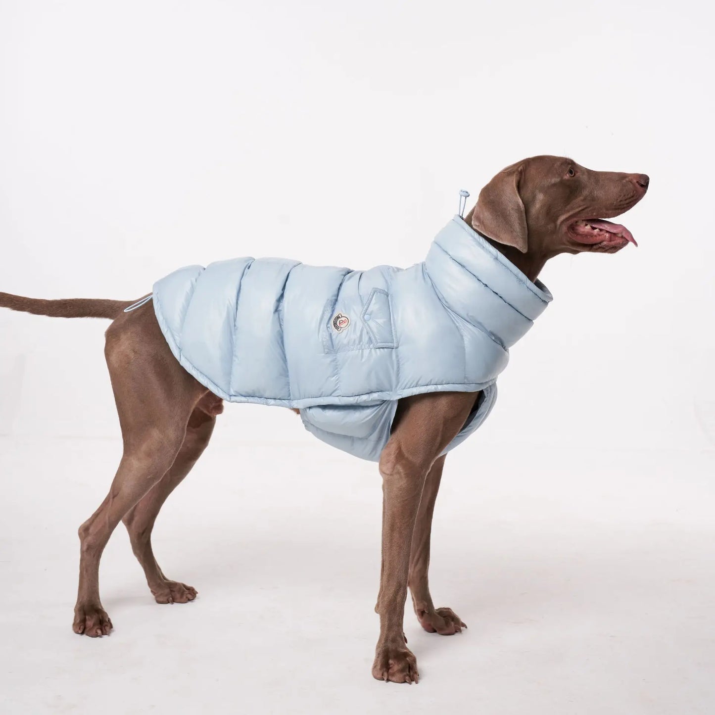 Premium Winter Windproof Hondenvest