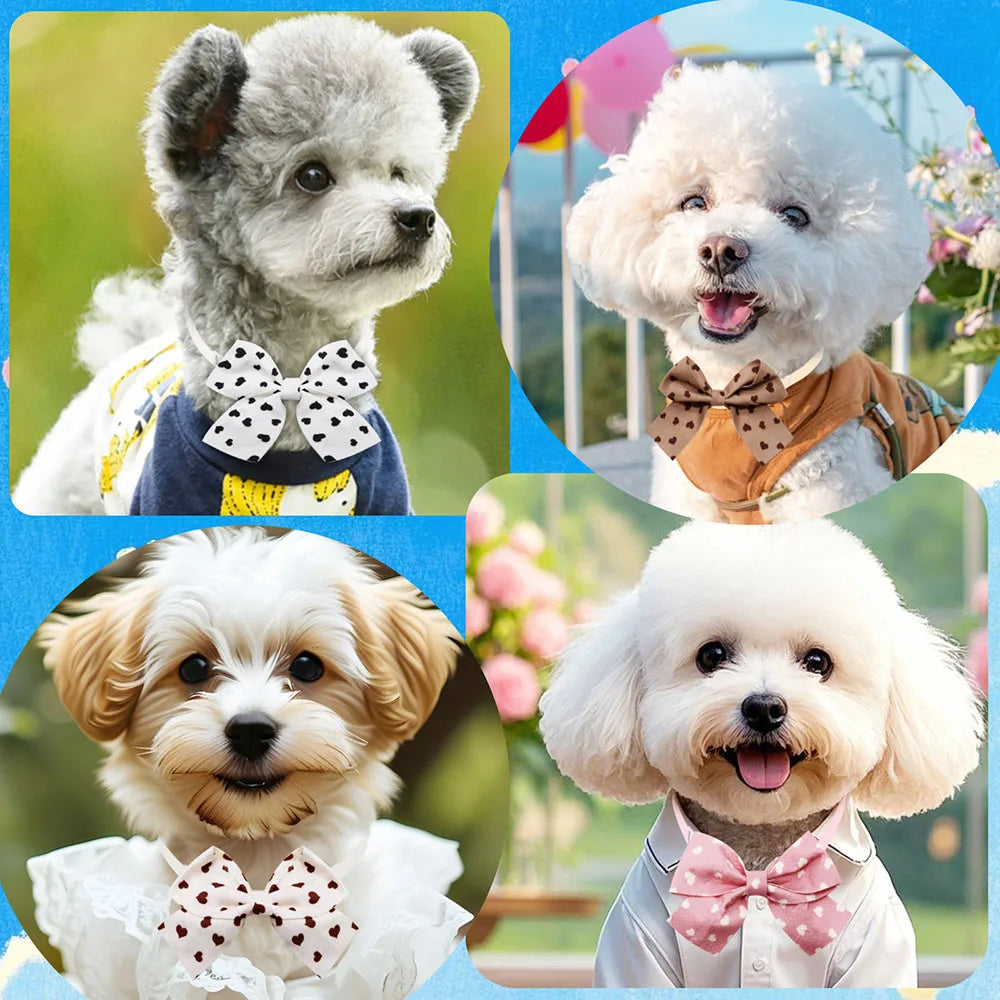 StylePaws ChicMix – 50-delige Honden & Katten Strikjes Set voor Grooming & Mode