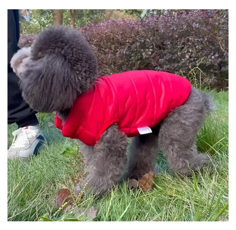 PawLuxe Dubbelzijdige Warme Hondenjas