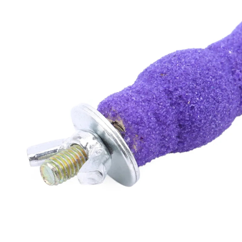 Vogelklauw slijpstok hout - 11/16/26 cm - veilig onderhoud nagels