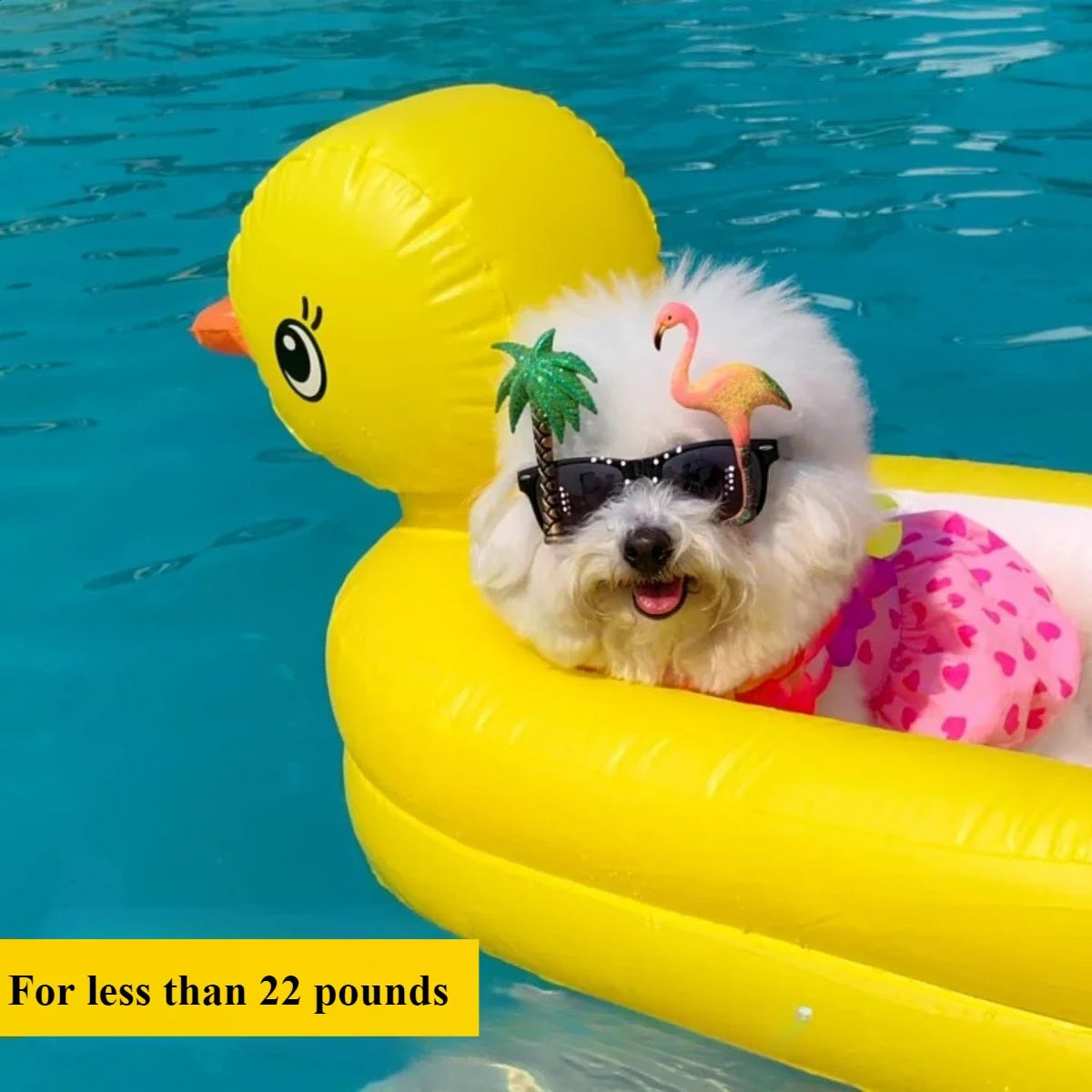 SwimBuddy 2-in-1 Hondenzwembad Float
