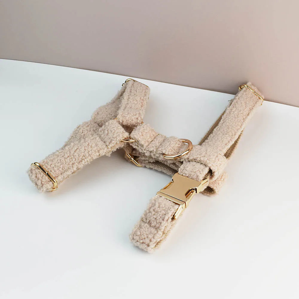 TeddyVeluxe Gepersonaliseerde Hondenhalsband & Riemenset