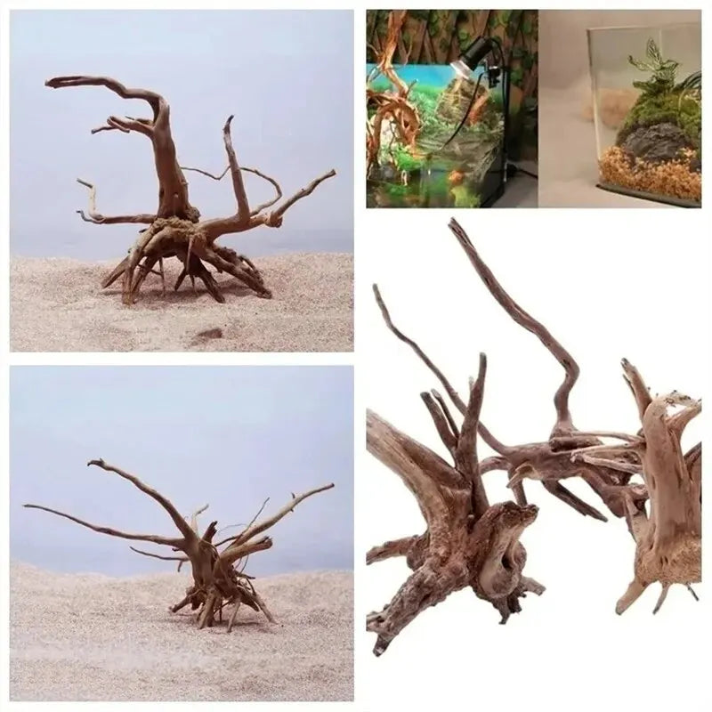 Aquarium decoratie