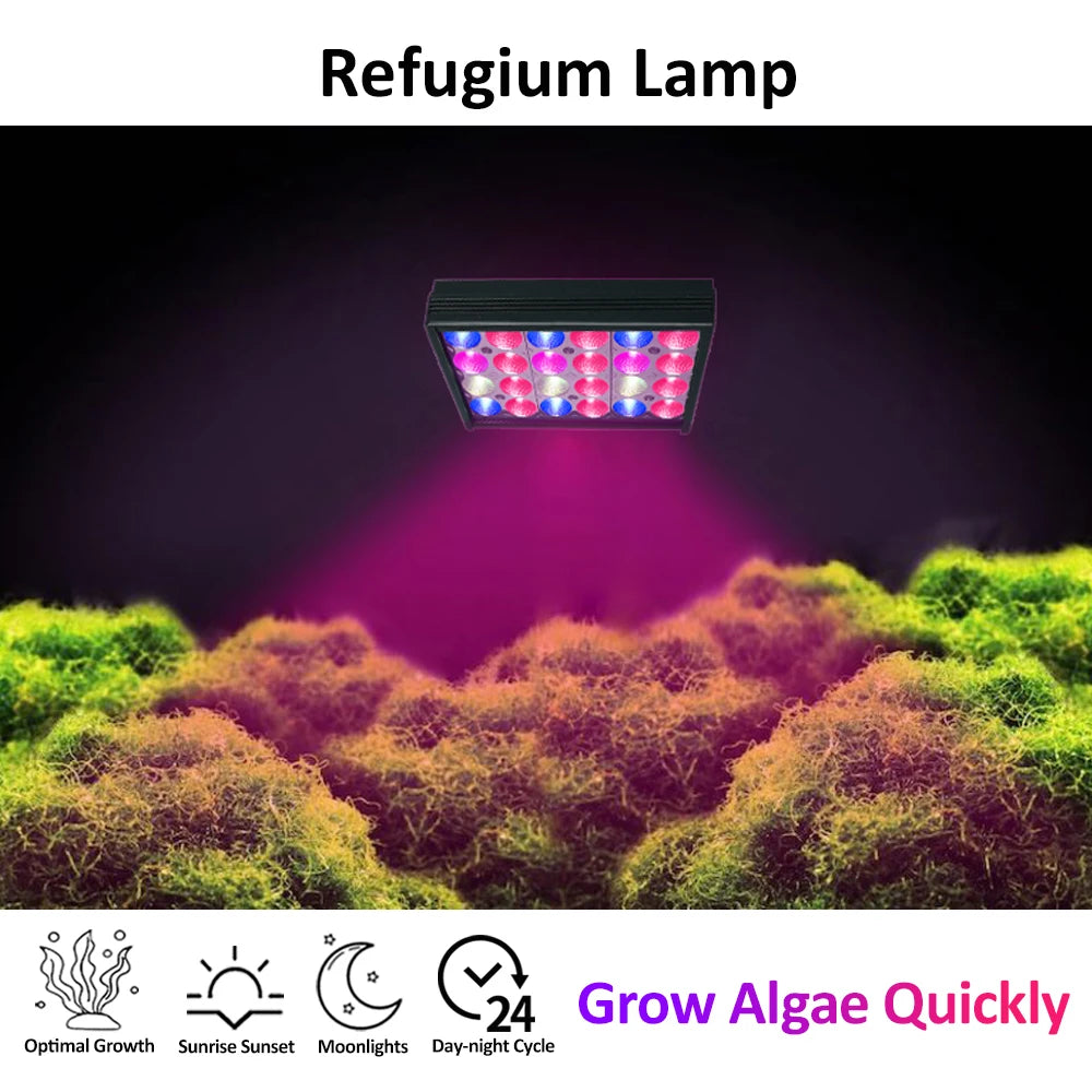 PopBloom Refugium Groeilamp