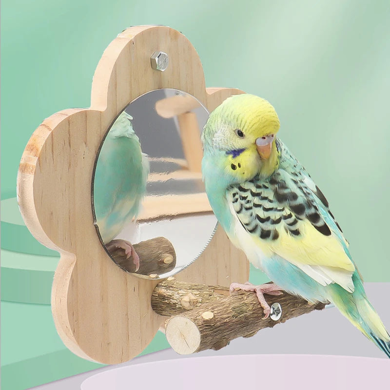 Accessoires voor vogelkooiplatforms