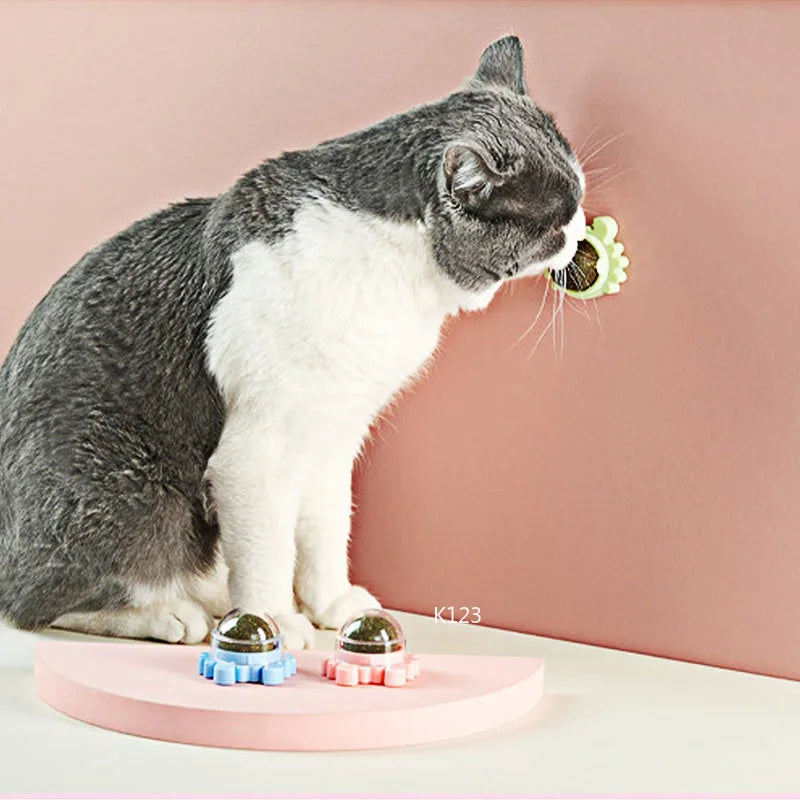 CatVita LickBall – Kattenkruid Lik- & Snackbal voor Tandverzorging en Gezonde Spijsvertering