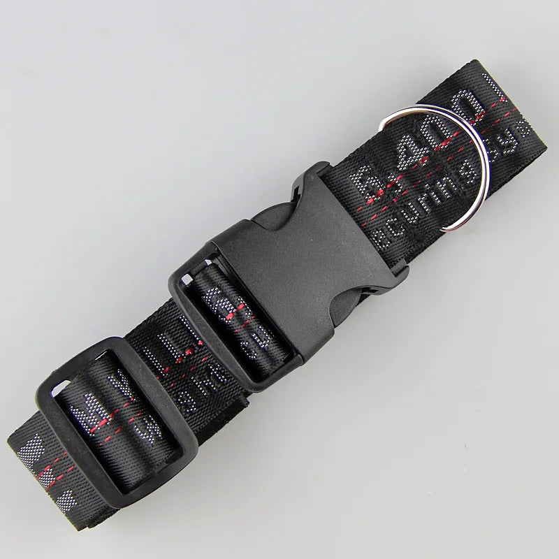 LuxPup Gouden Hondenhalsband & Lijn Set