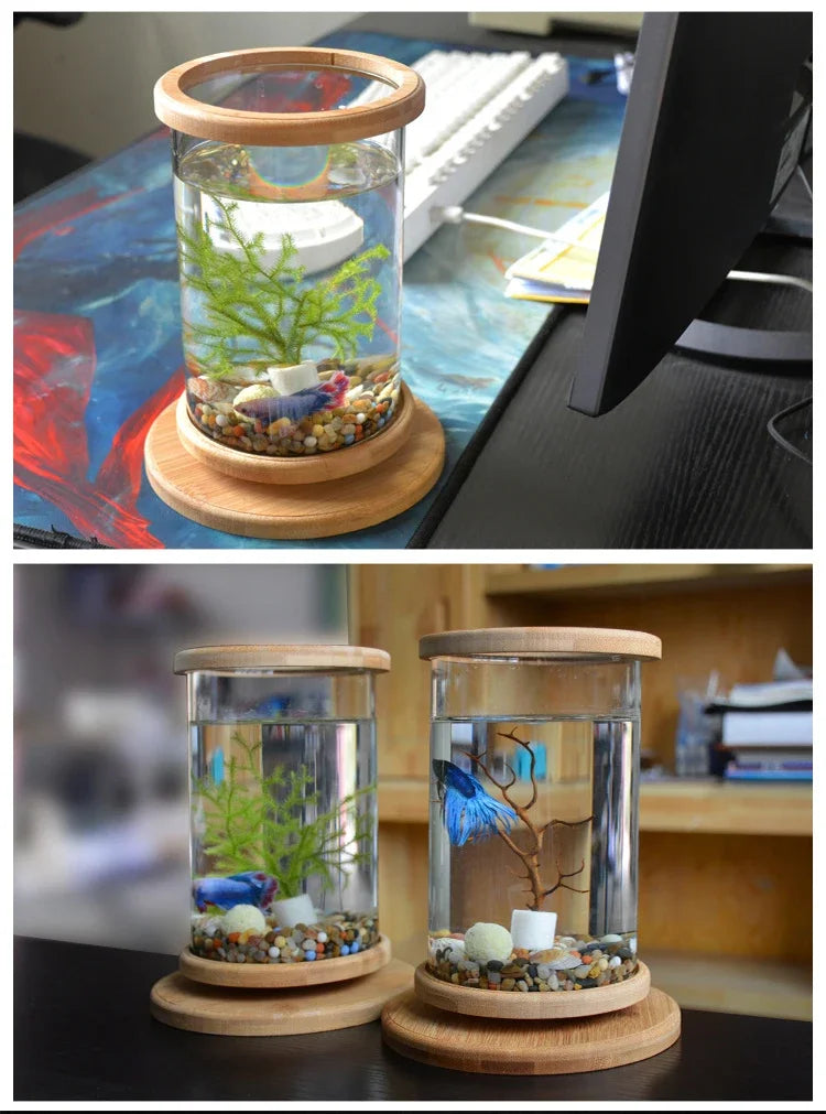 AquaGlow LED Cilindrisch Mini Aquarium