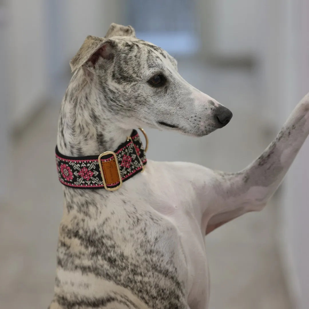 SwiftGent Martingale Halsband
