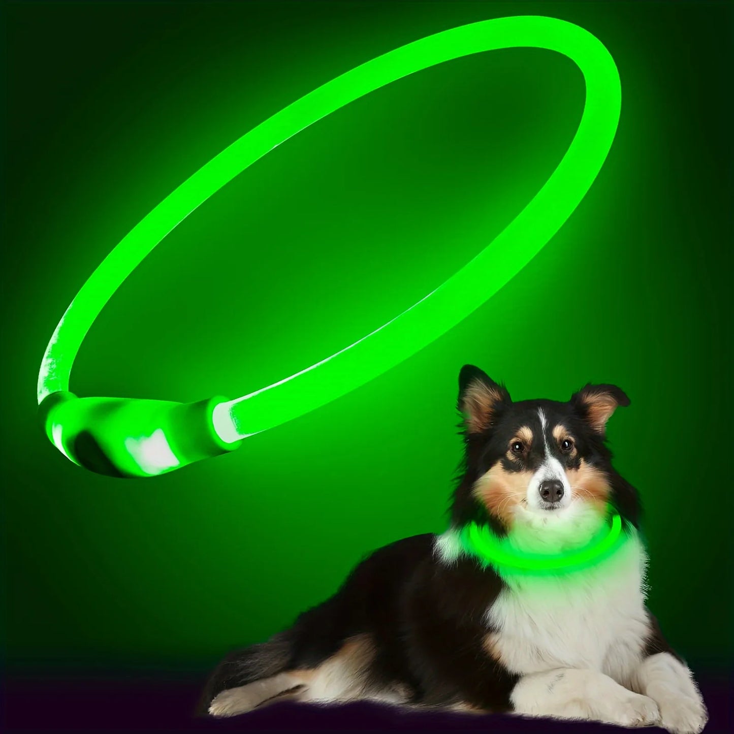 GlowGuard LED Veiligheidshalsband voor Honden – USB Oplaadbaar & Reflecterend
