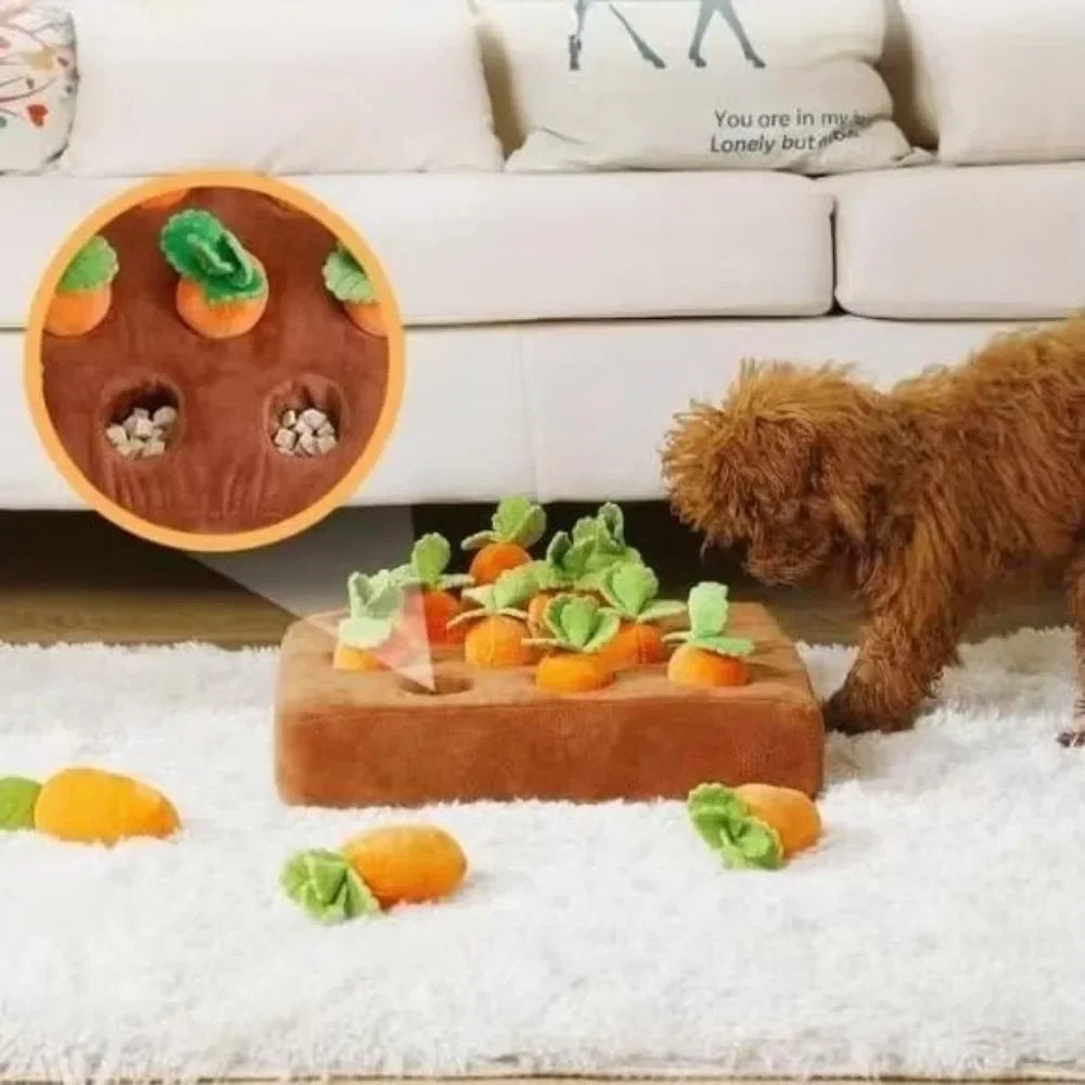 Wortel Snuffelmat