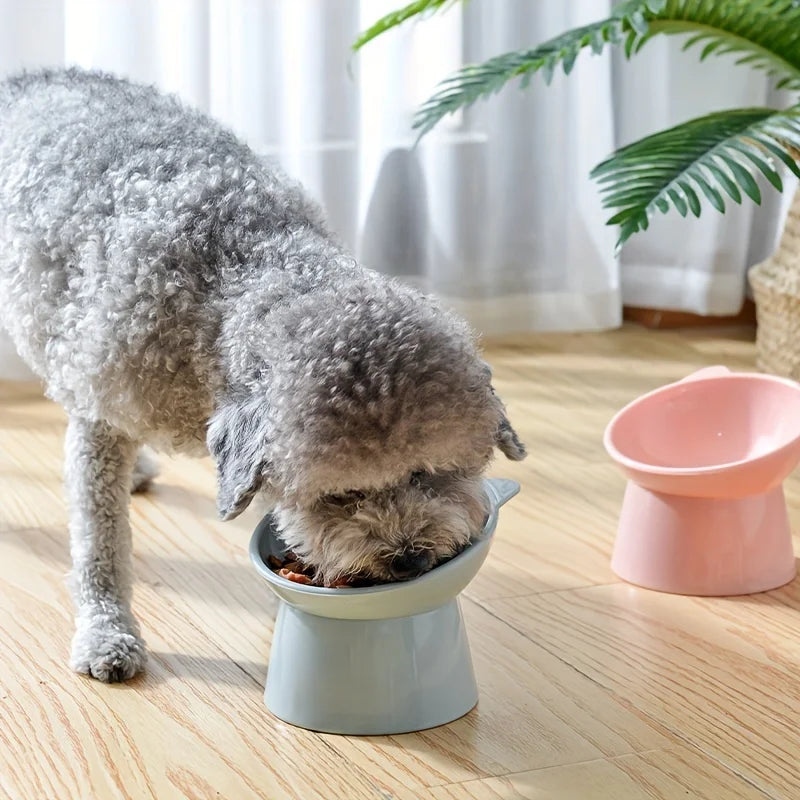Verhoogde Kattenbak