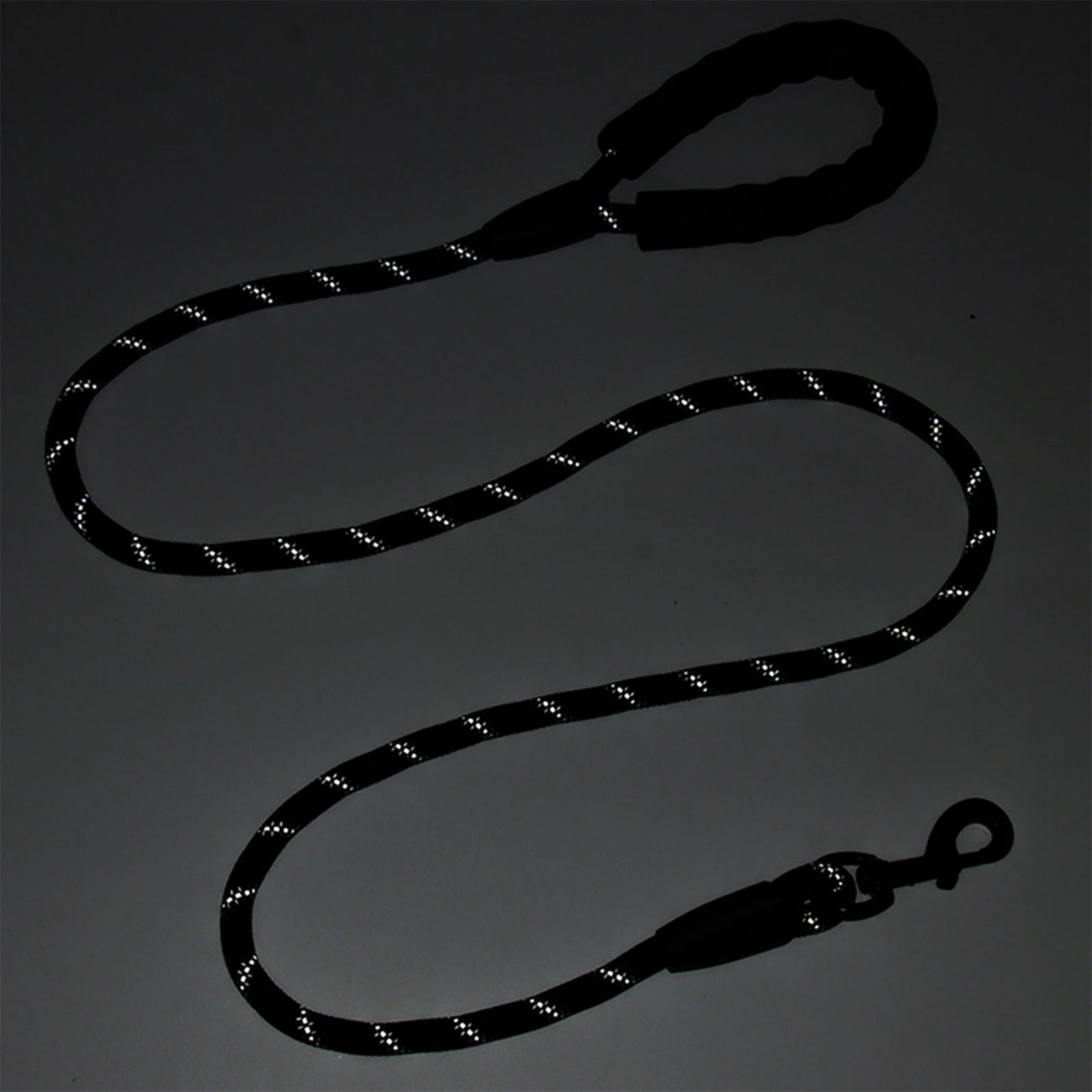Comfortabele Nylon Hondenriem 1.5m – Gevoerd & Reflecterend
