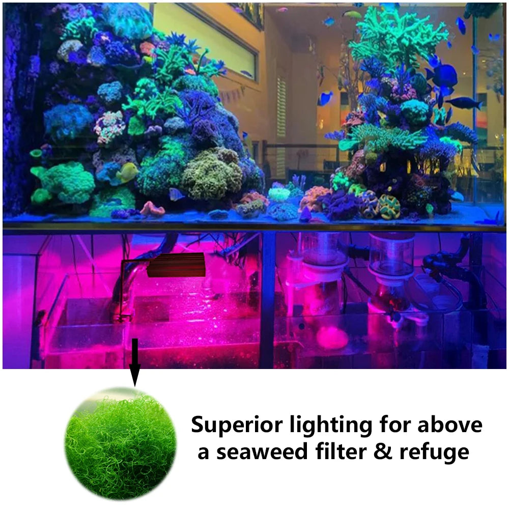 PopBloom Refugium Groeilamp