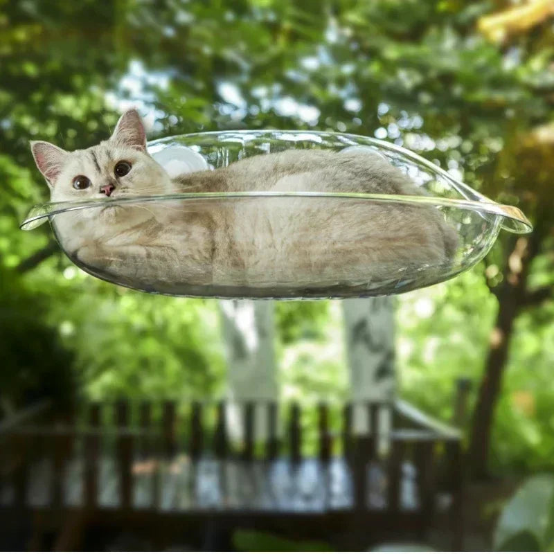 Drijvend kattenhangmatnest