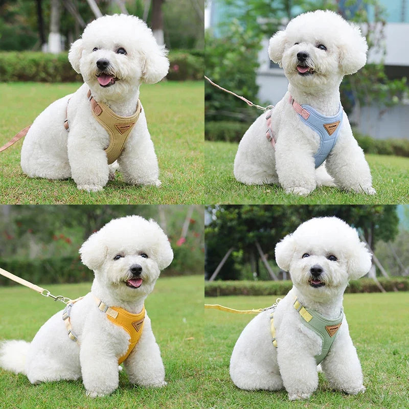 Puppy Harnas en Lijnset – Ademend Verstelbaar Vest Nylon XS-L