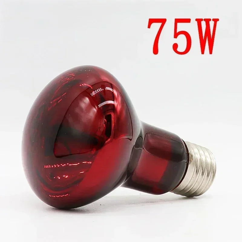 220V Infrarood Verwarmingslamp