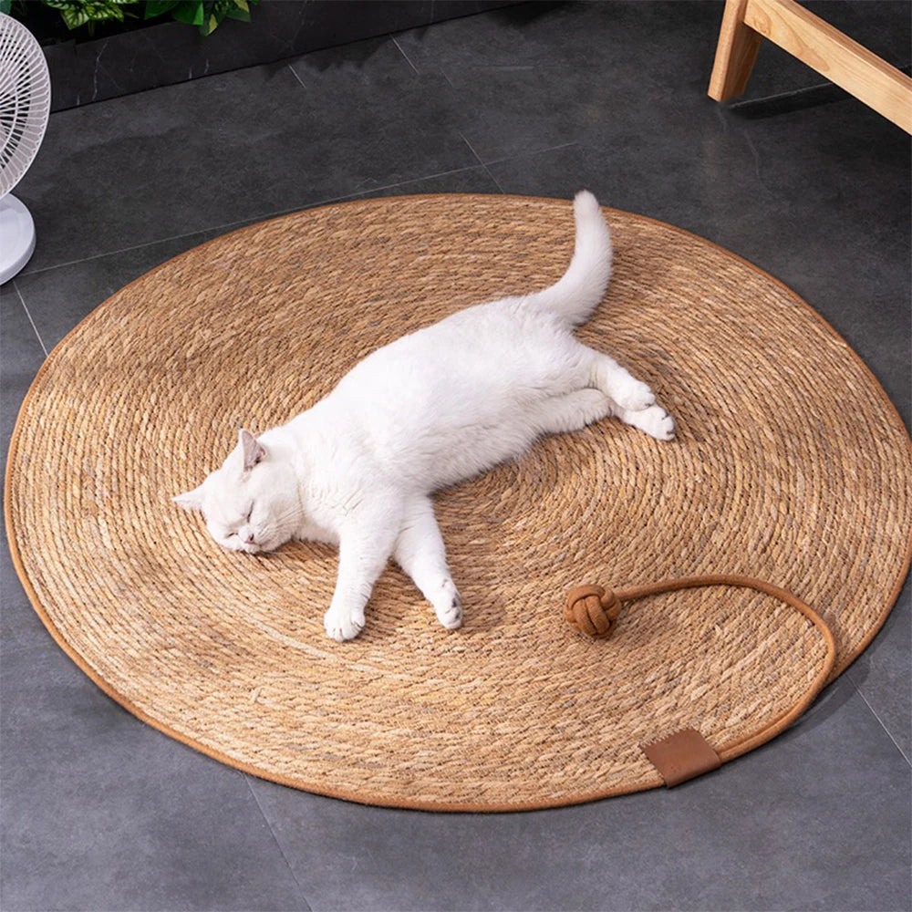KlimPaws Rattan Krabmat