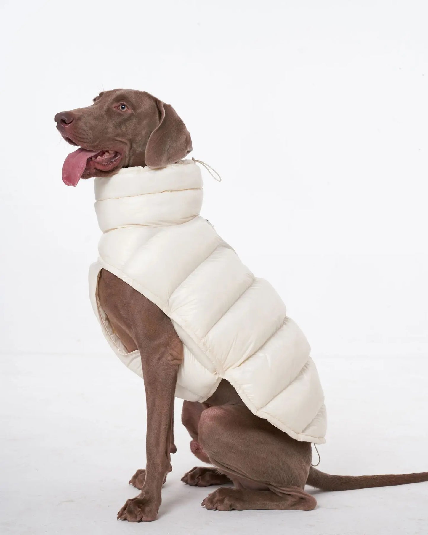 Premium Winter Windproof Hondenvest