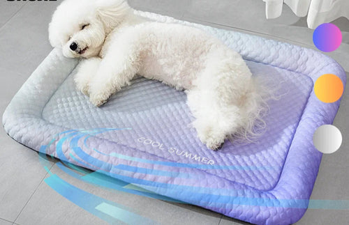 COOLPAWS – Verkoelend Huisdierenmatras voor Hond & Kat