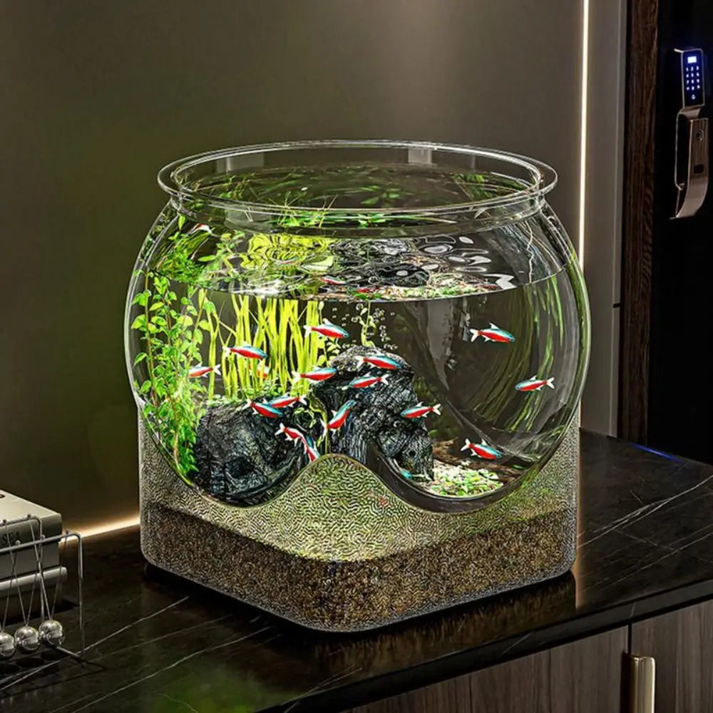 AquaGlobe Rond Desktop Aquarium