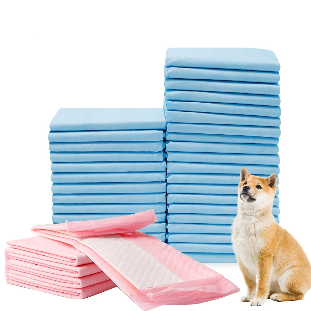 DRYPAWS – 50x Wegwerp Honden Plasmatten