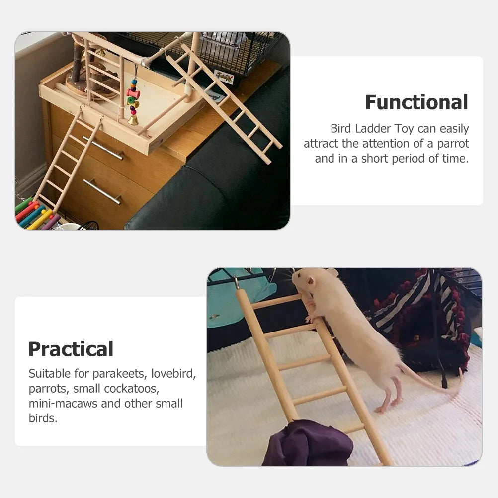 Kaketoe klimt trapladder