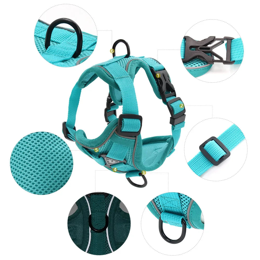 PawSecure Harnas & Lijn Set