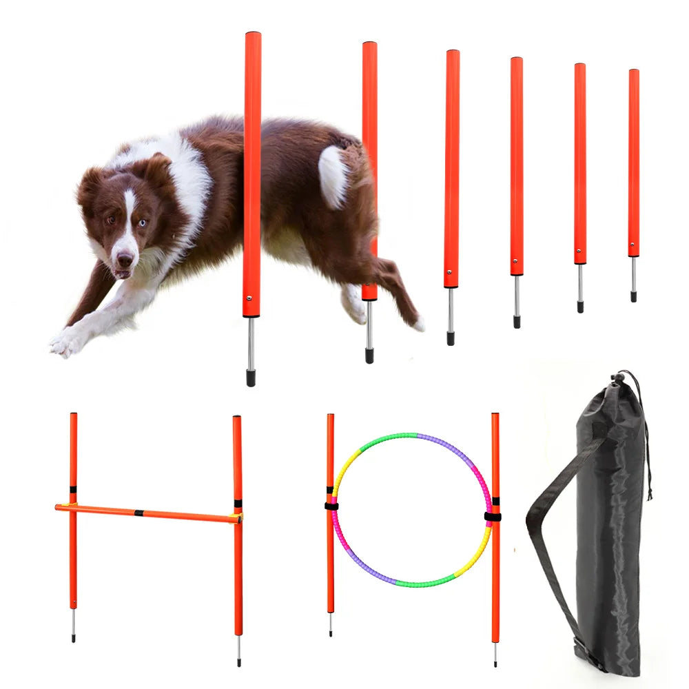 AgiliPro Hondensport Trainingsset