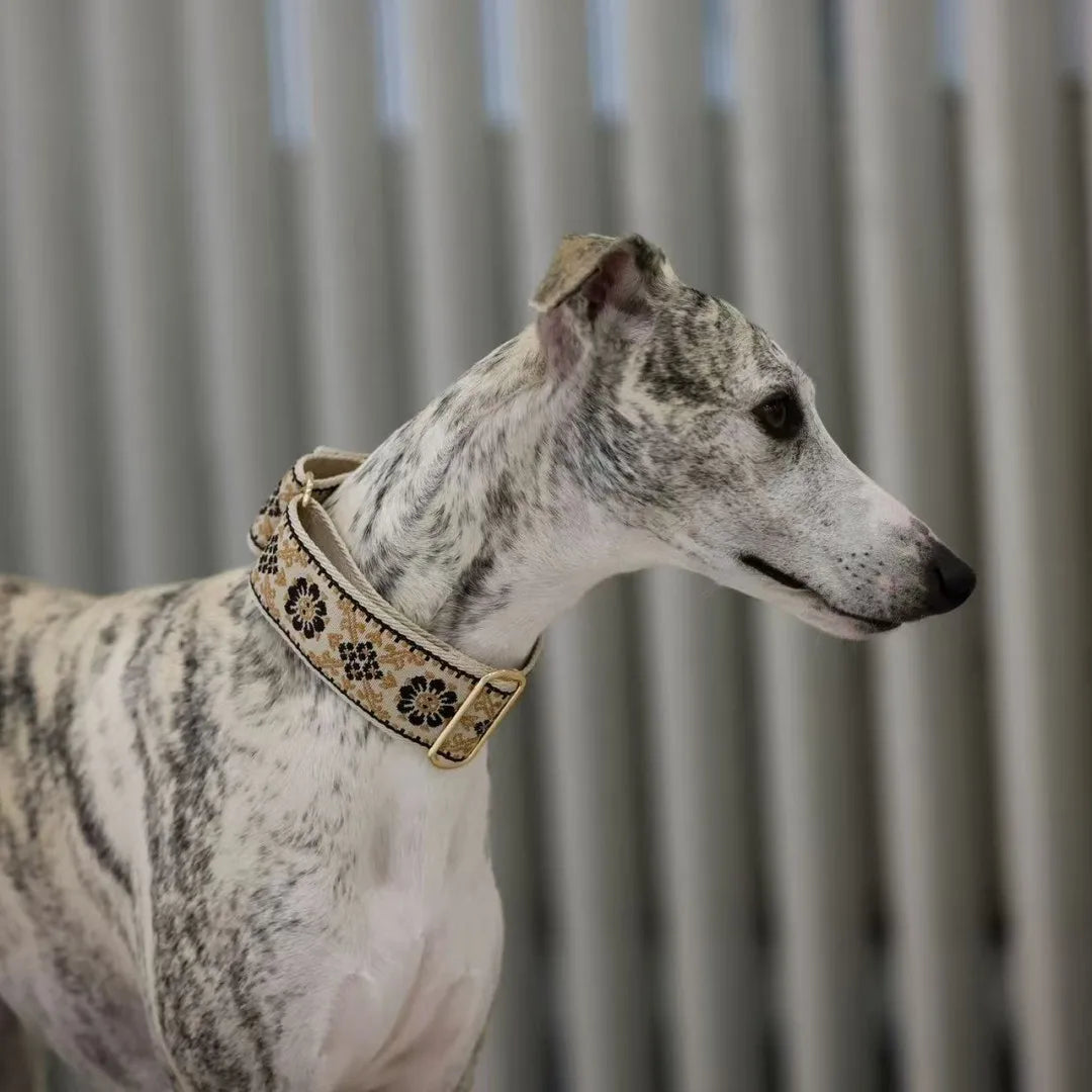 SwiftGent Martingale Halsband