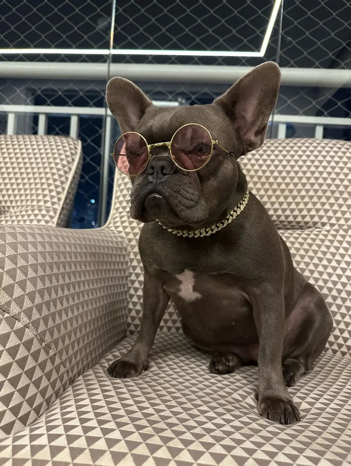 GlamPaw Diamond Cuban Link Halsband