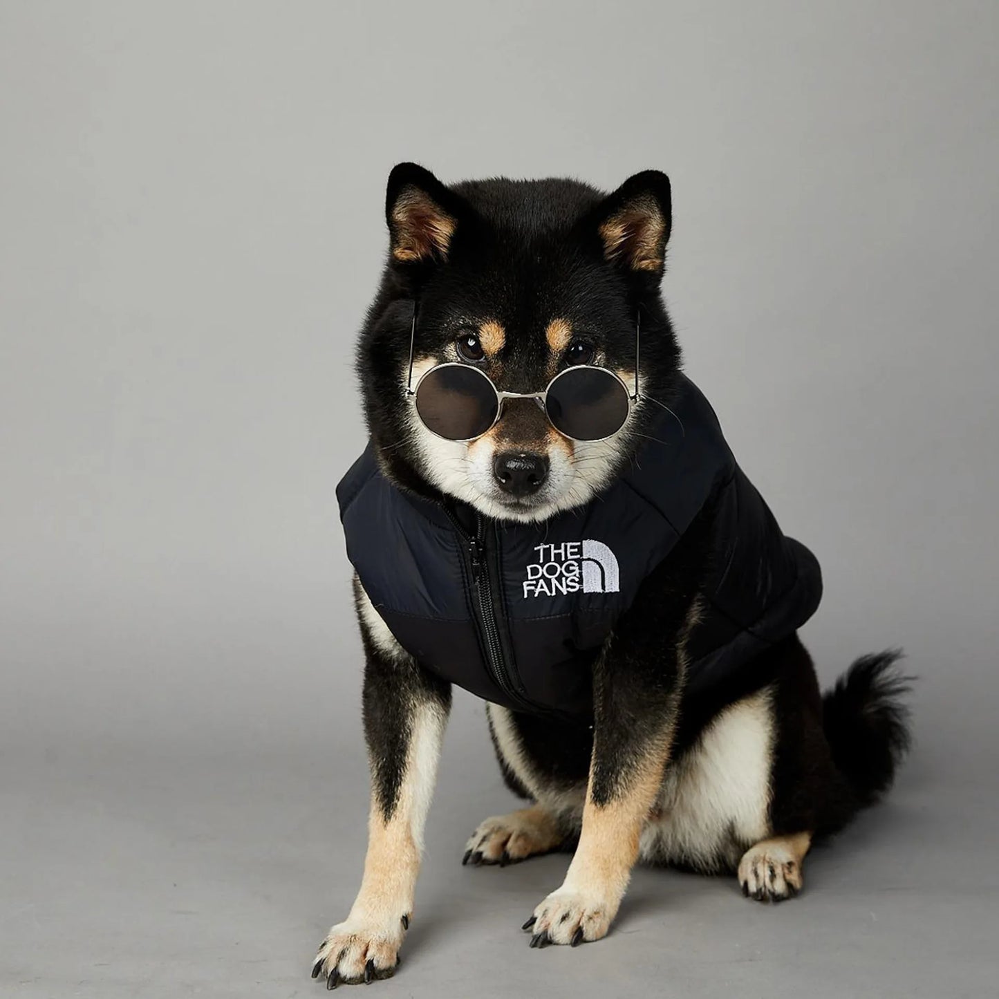 The Dog Fans Luxe Hondenpak