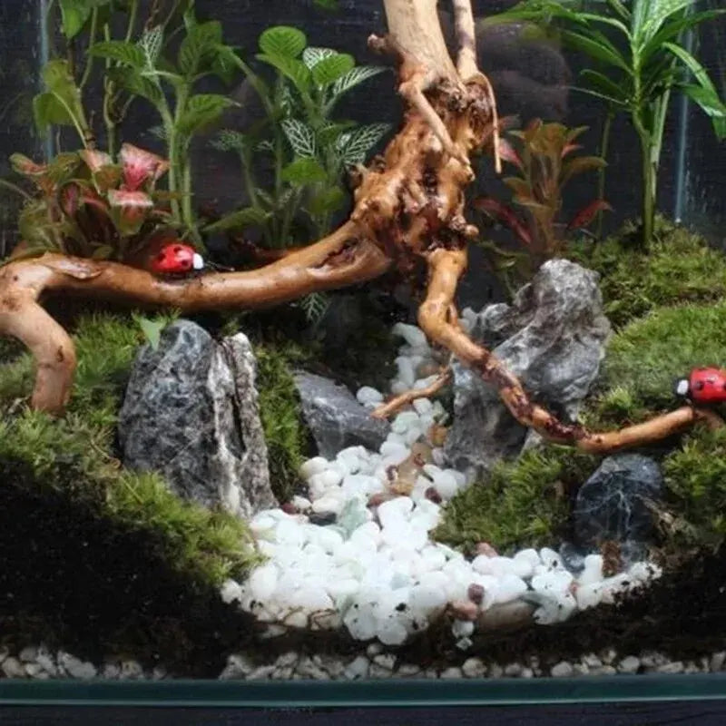 Aquarium decoratie