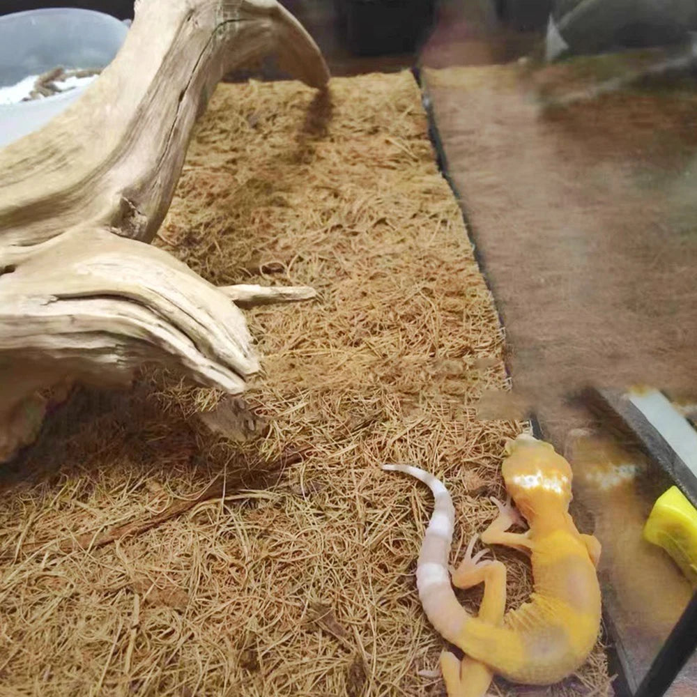 EcoTera Natuurlijke Terrarium Bodemmat