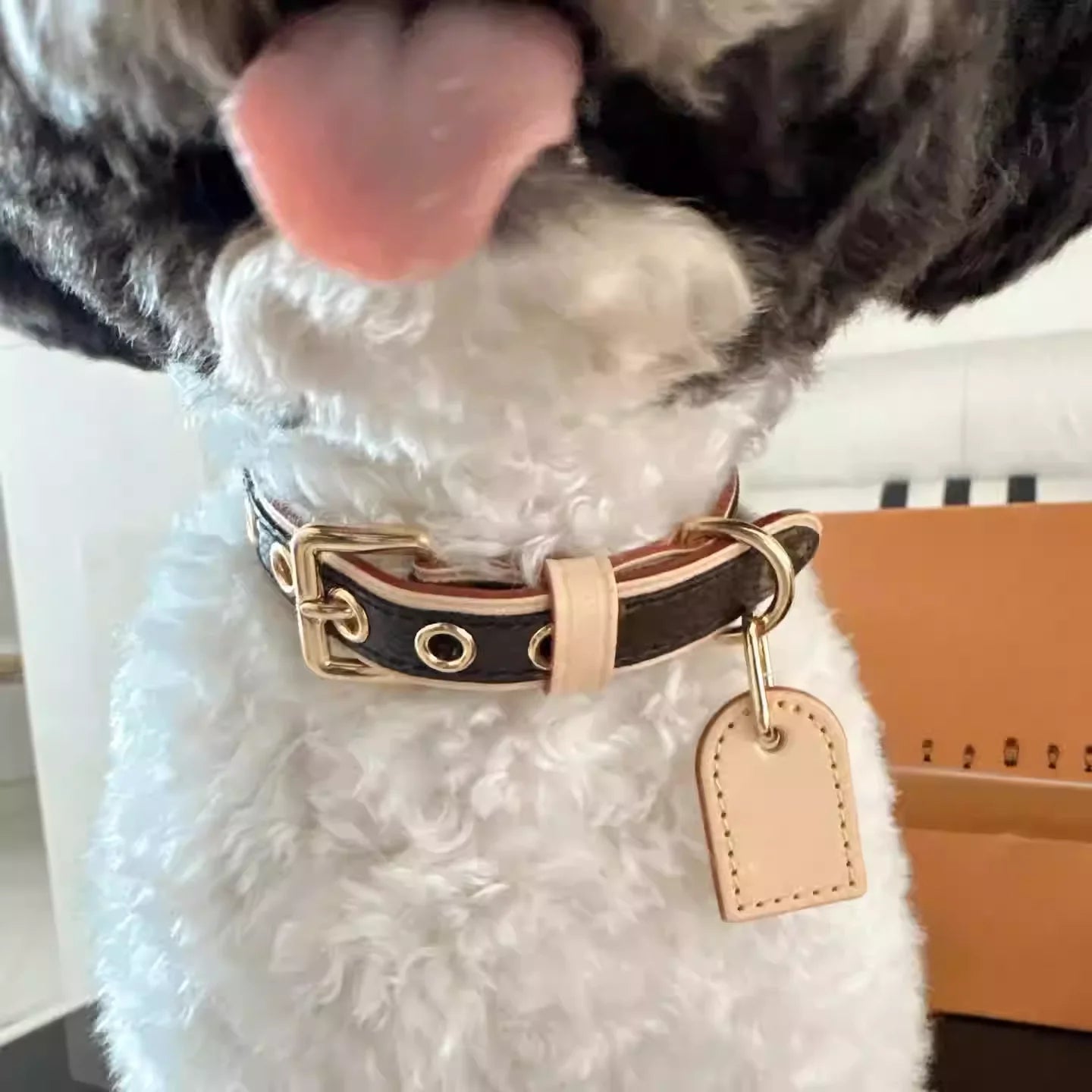 BellaCord Klassieke Hondenriem & Halsband
