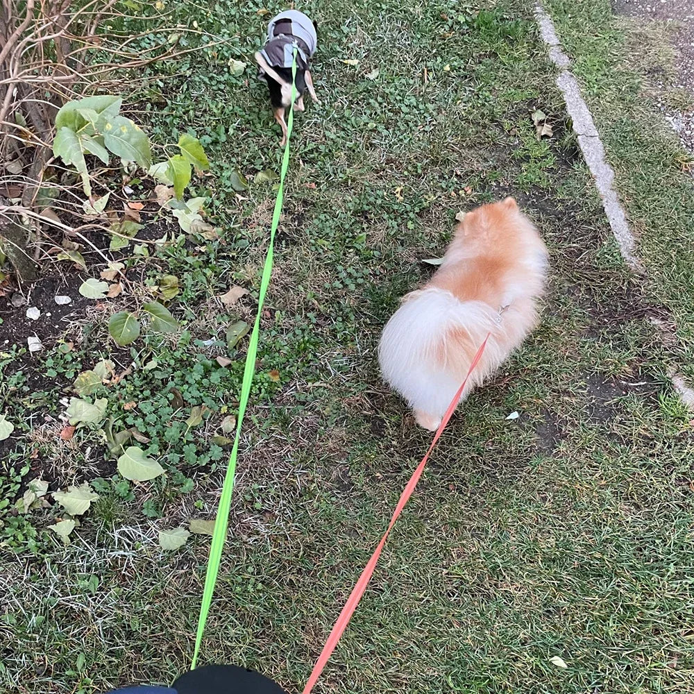 DuoWalk 3M Automatische Hondenriem met Zaklamp & Poepzakhouder