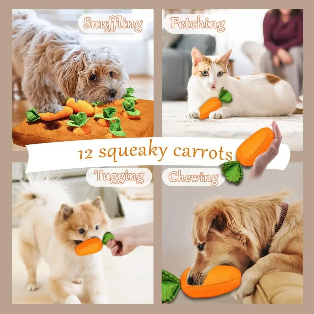 Wortel Snuffelmat