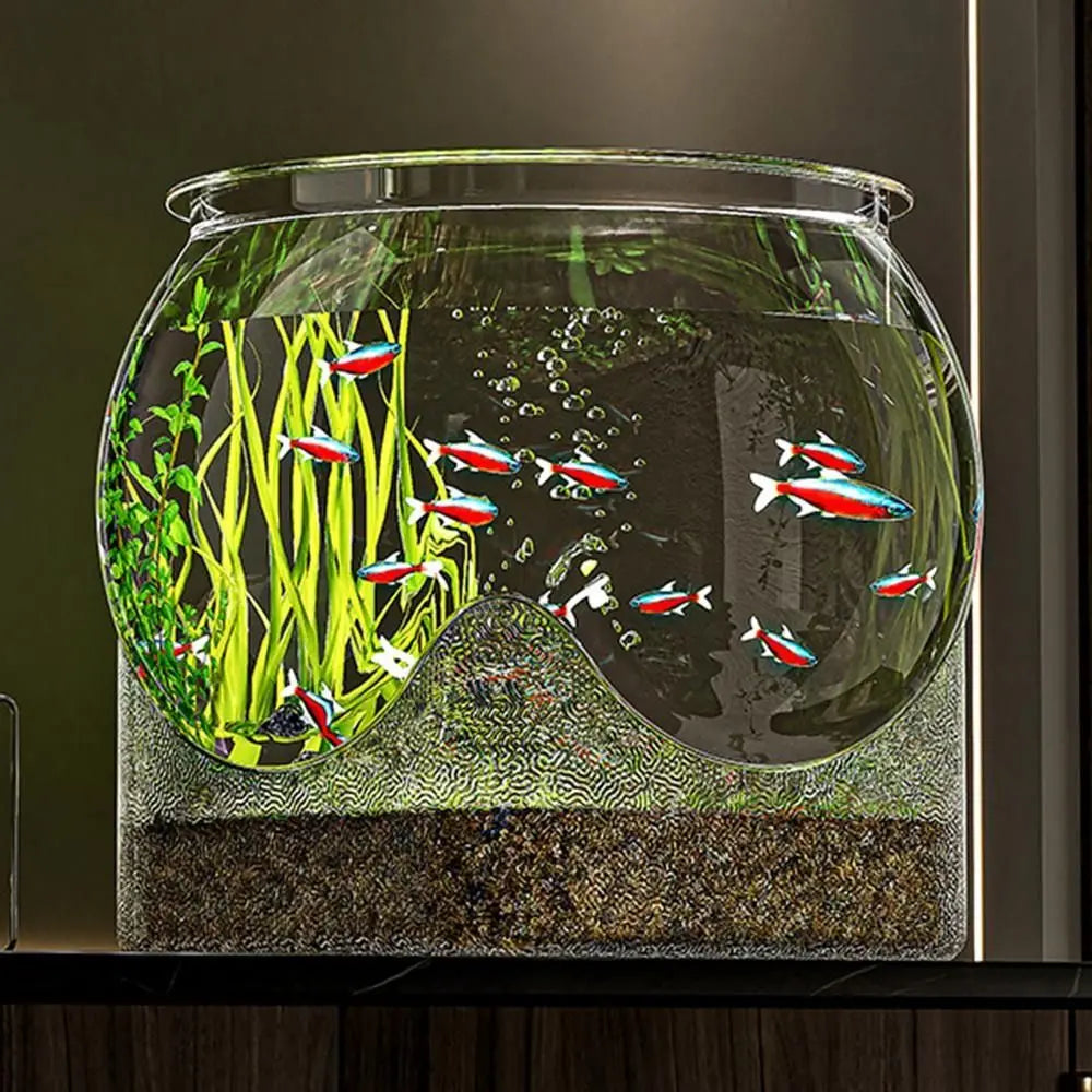 AquaGlobe Rond Desktop Aquarium