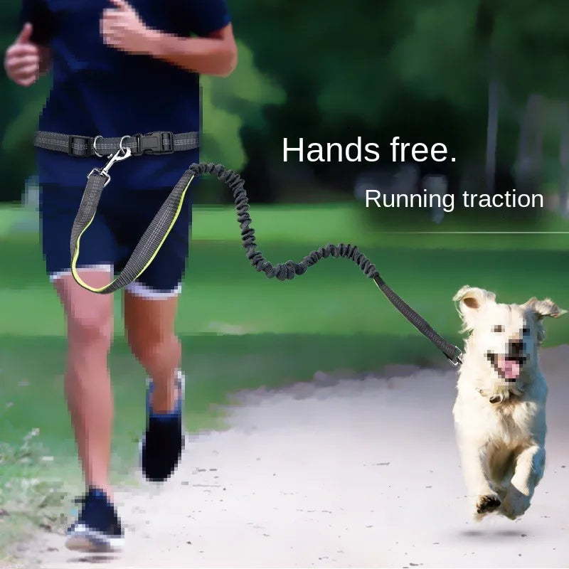 Handsfree Hondenriem met Heupgordel – Verstelbare Polyester Riem