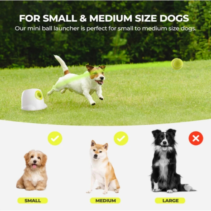 Automatische Hond Ballenwerper – Interactief Speelgoed