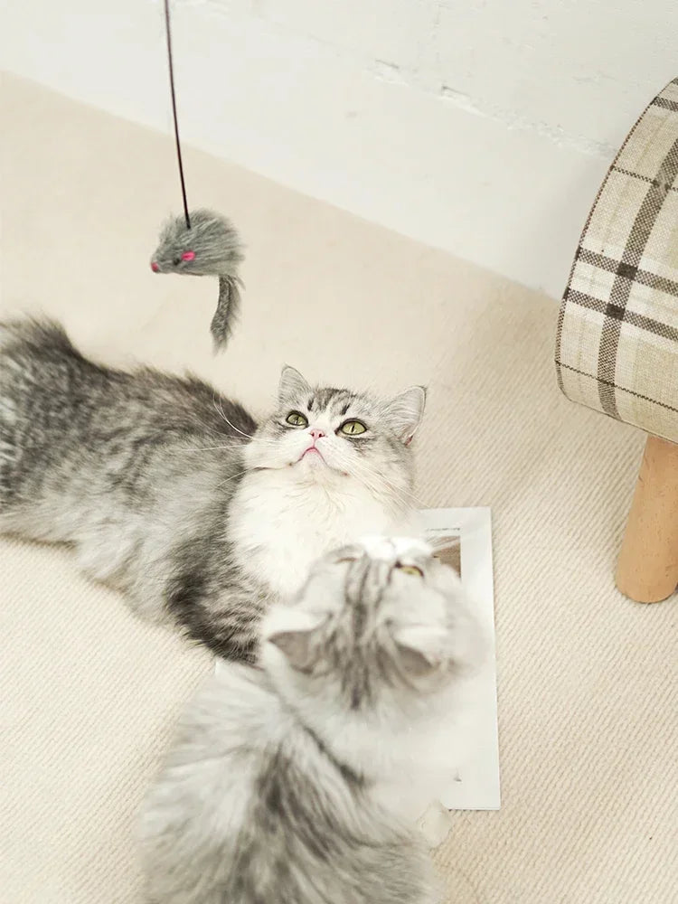 MousePlay Deurhanger Katten Speelgoed