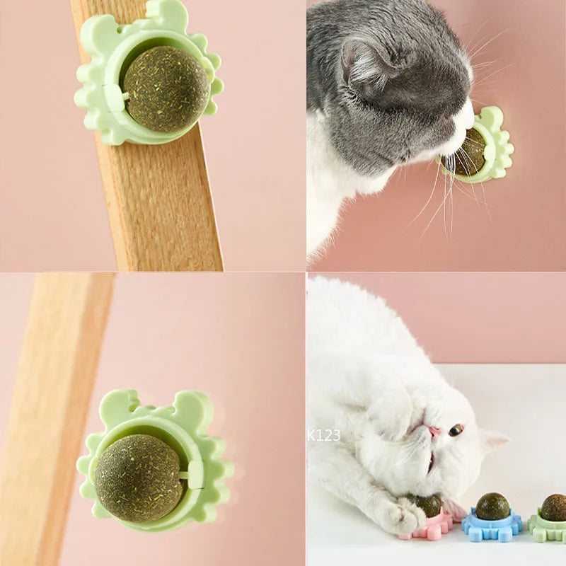 CatVita LickBall – Kattenkruid Lik- & Snackbal voor Tandverzorging en Gezonde Spijsvertering