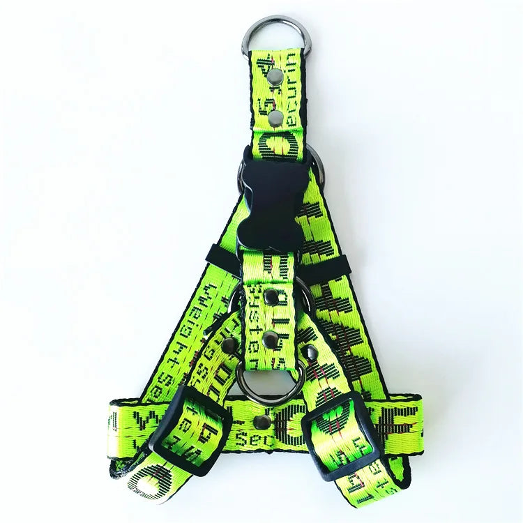 LuxPup Gouden Hondenhalsband & Lijn Set