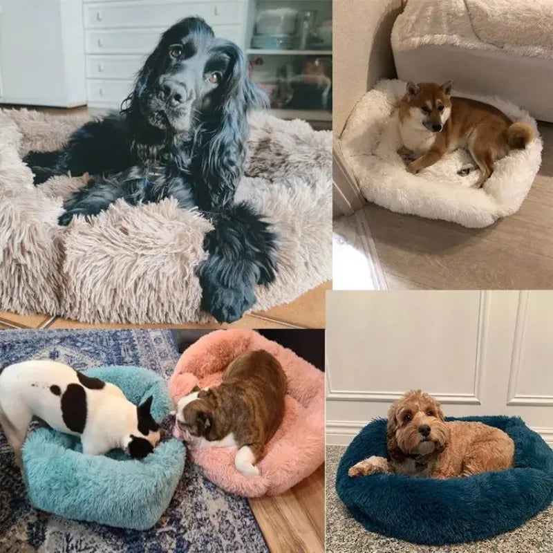 Pluche Dierenmand – Zachte Wintermand voor Hond of Kat, Wasbaar