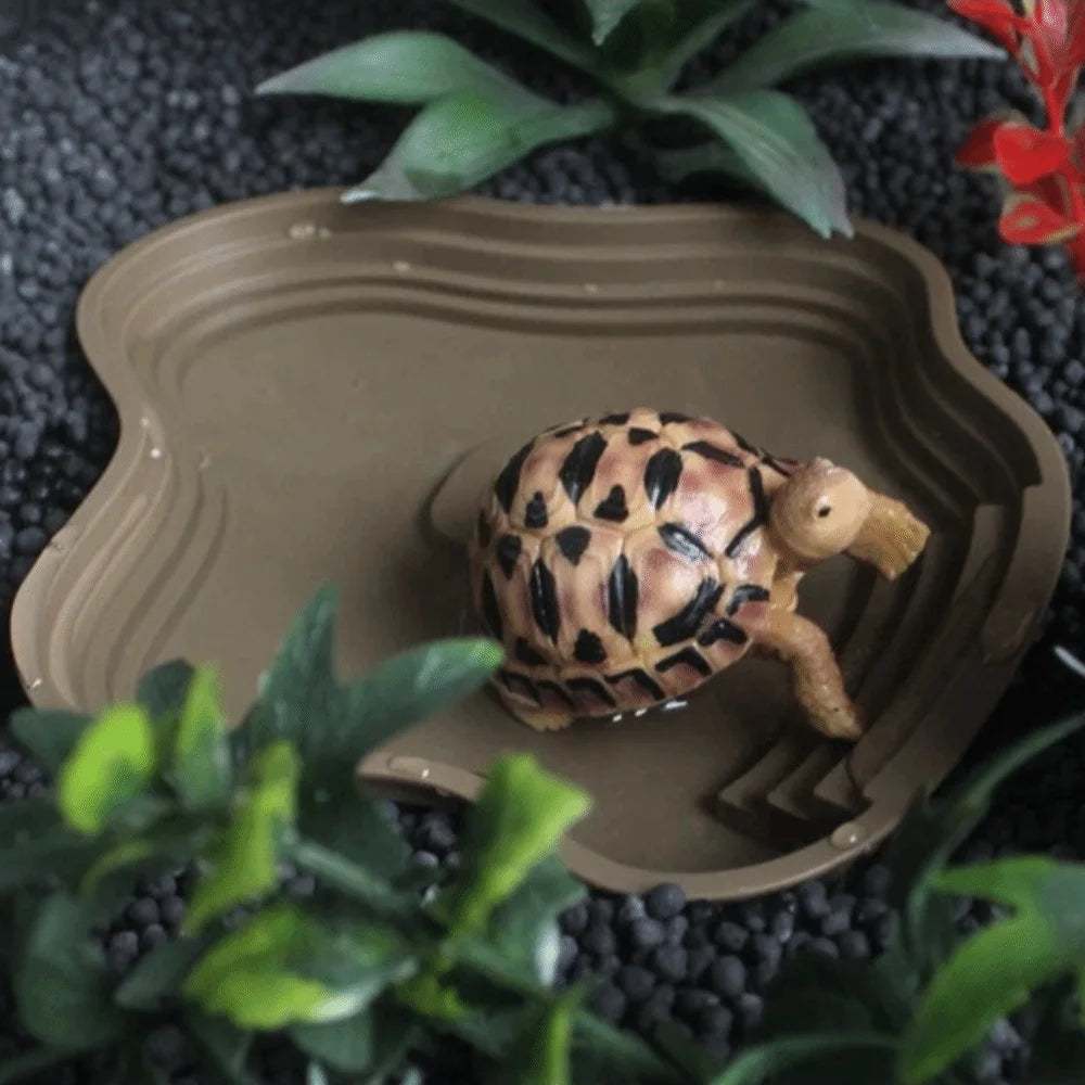 AquaStep Dubbelzijdige Schildpad Water- & Voerbak