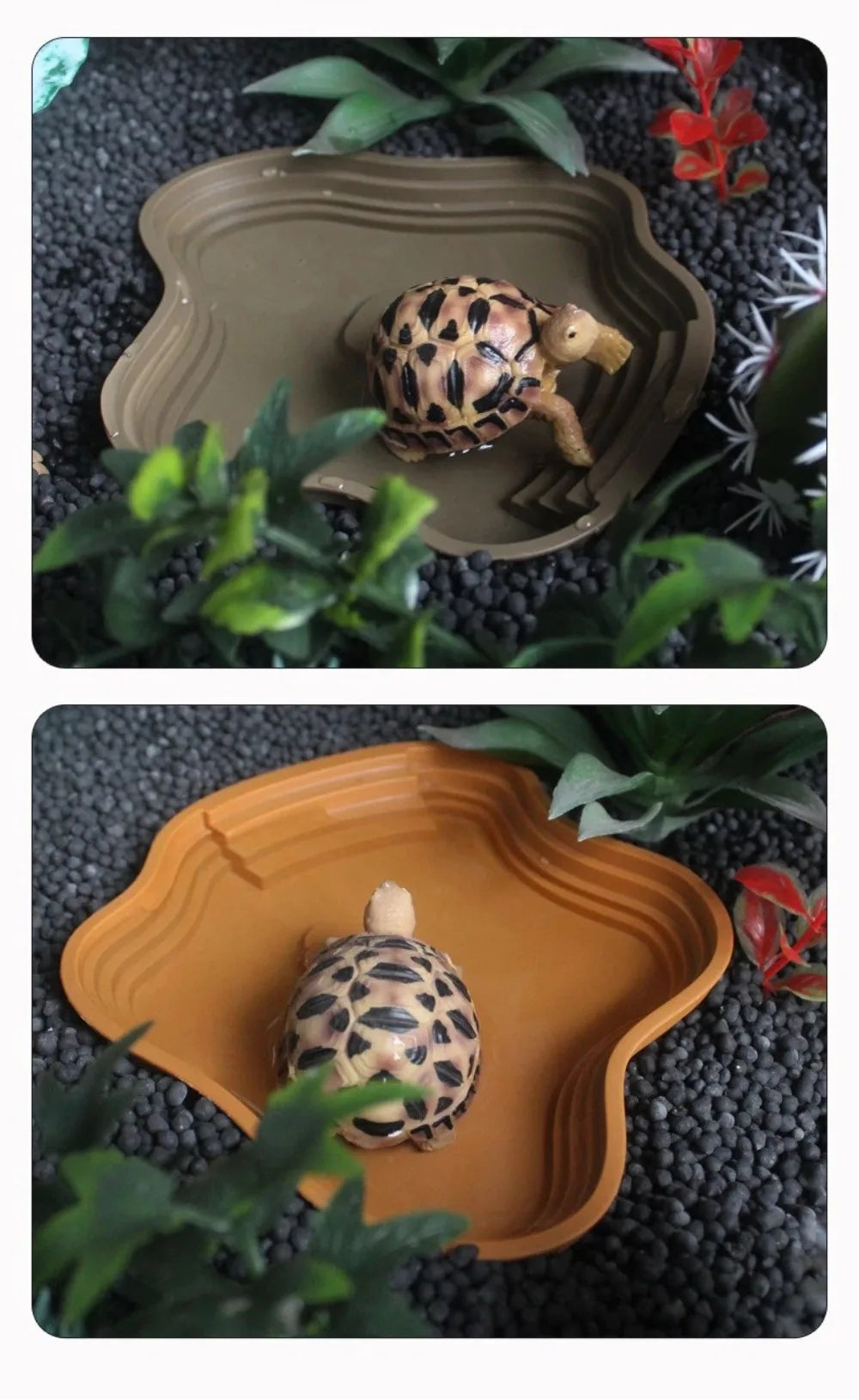 AquaStep Dubbelzijdige Schildpad Water- & Voerbak