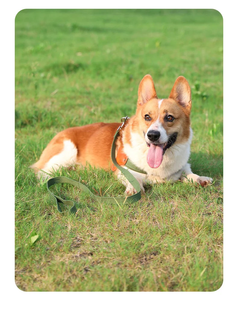 PawCommand Premium Outdoor Harness Set