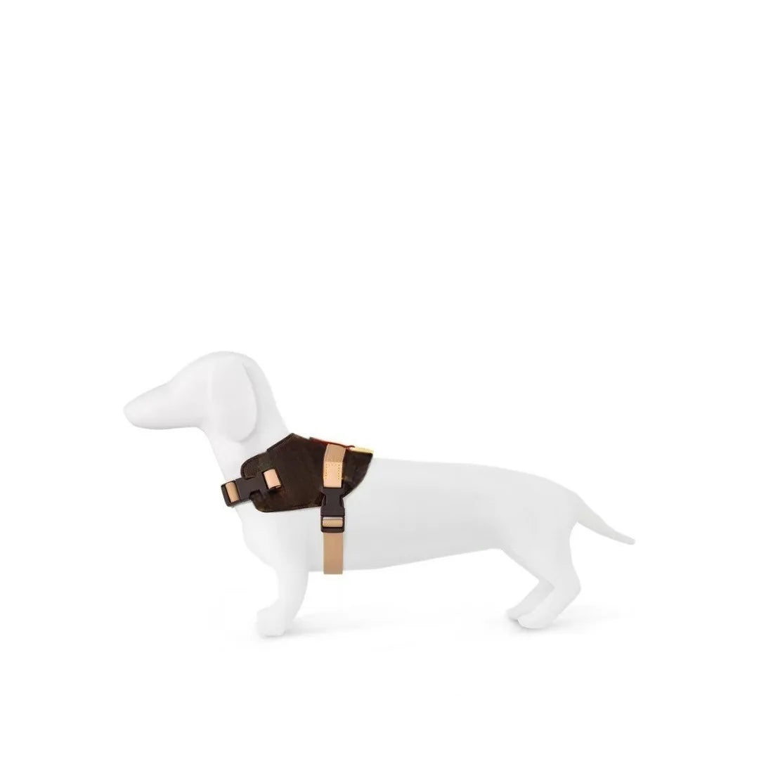 UrbanSafe Pets – Trendy Borstharnas + Lijnset voor Kat & Hond