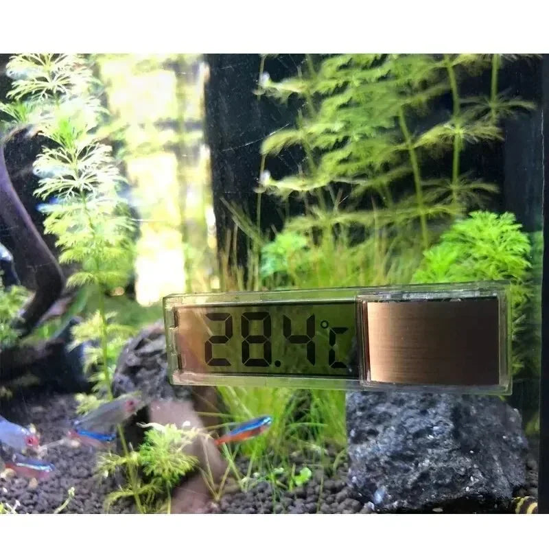 AquaView Digitale LCD Aquarium Thermometer